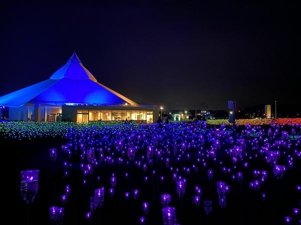 🌸 백합 마을 공원 유림 하루에 이미지 10